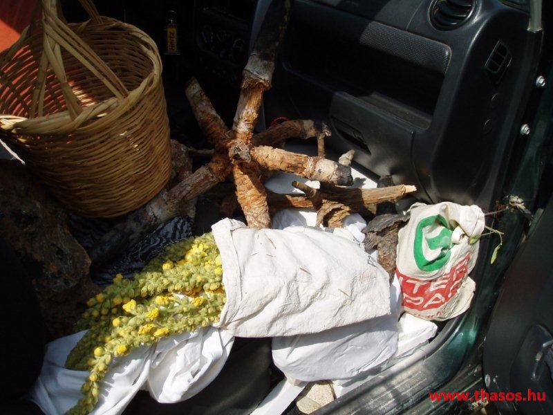 Jeep túra