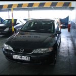 balazsh - 2006