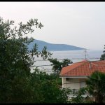 balazsh - 2006