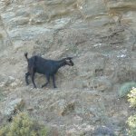 balazsh - 2007