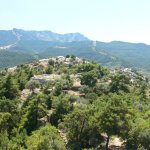 balazsh - 2007
