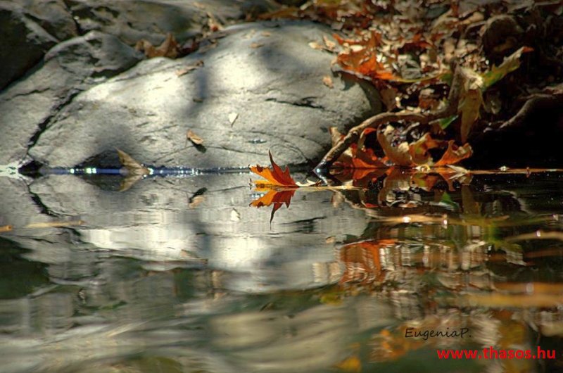 Az öreg falu, a vén platán és a folyók meséje