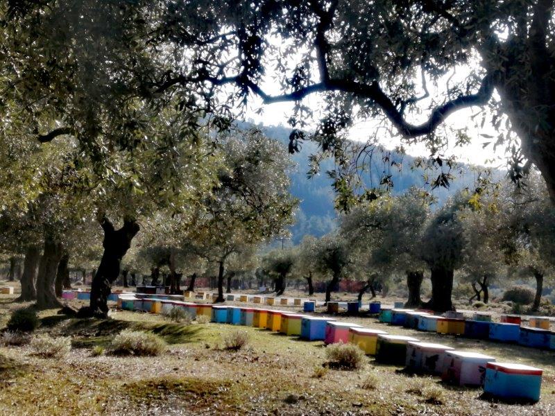 img 20241231 132607 edit 6486118719842