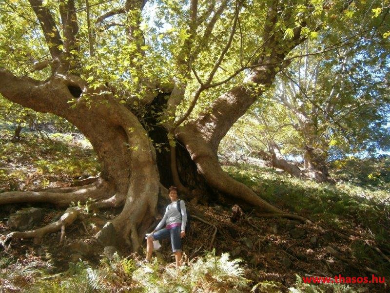 Samothraki 2014. szeptember