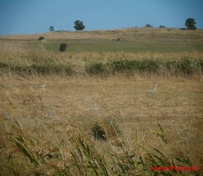 Samothraki 2014. szeptember