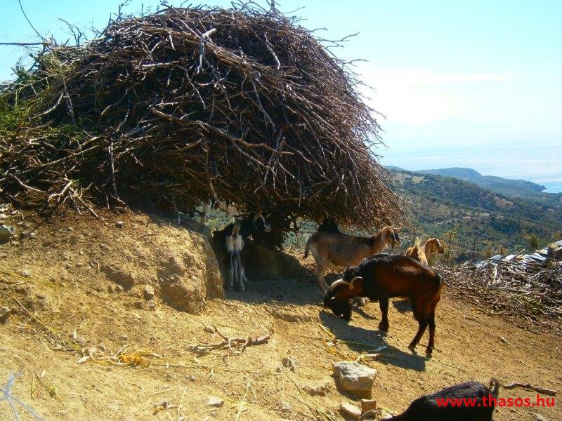 Samothraki 2014. szeptember