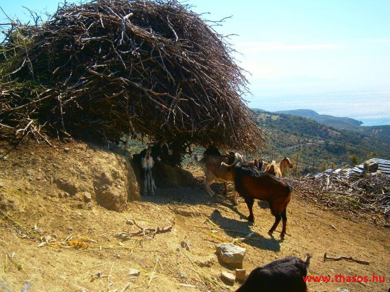 Samothraki 2014. szeptember