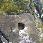 img_0404