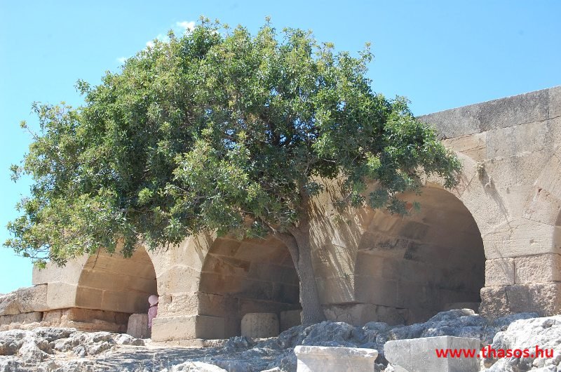 bocsika képei - 2014 Rodosz