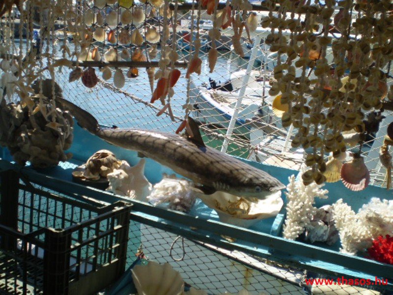 bocsika képei - 2014 Rodosz